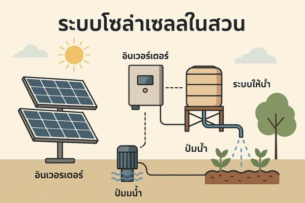 ระบบโซล่าเซลล์ในสวน