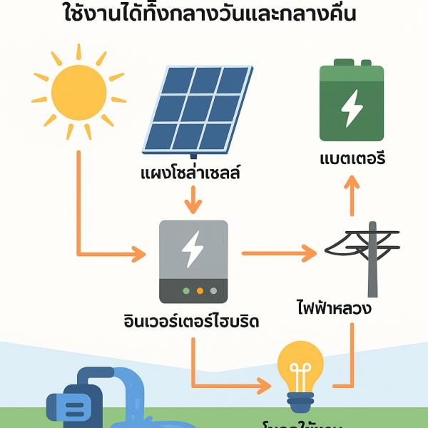 โซล่าเซลล์ไฮบริดในฟาร์ม: ใช้งานได้ทั้งกลางวันและกลางคืน